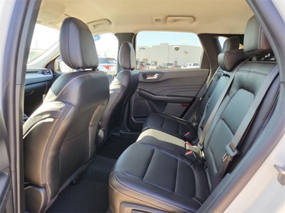 2026 Ford Escape Hybrid Platinum