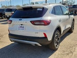 2026 Ford Escape Hybrid Platinum